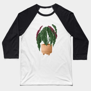 Begonia Maculata 5 Baseball T-Shirt